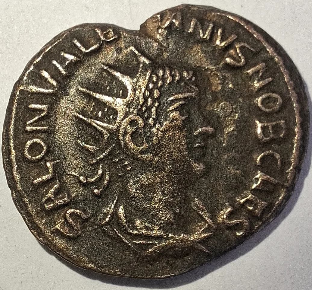 Anverso da moeda TH-N-0179 — Salonino como César. Antoniniano prateado